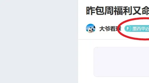 本泽马有望回归皇马阵容